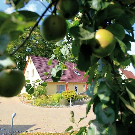 Schölzke‘s Ferienhaus Ralswiek Exterior foto