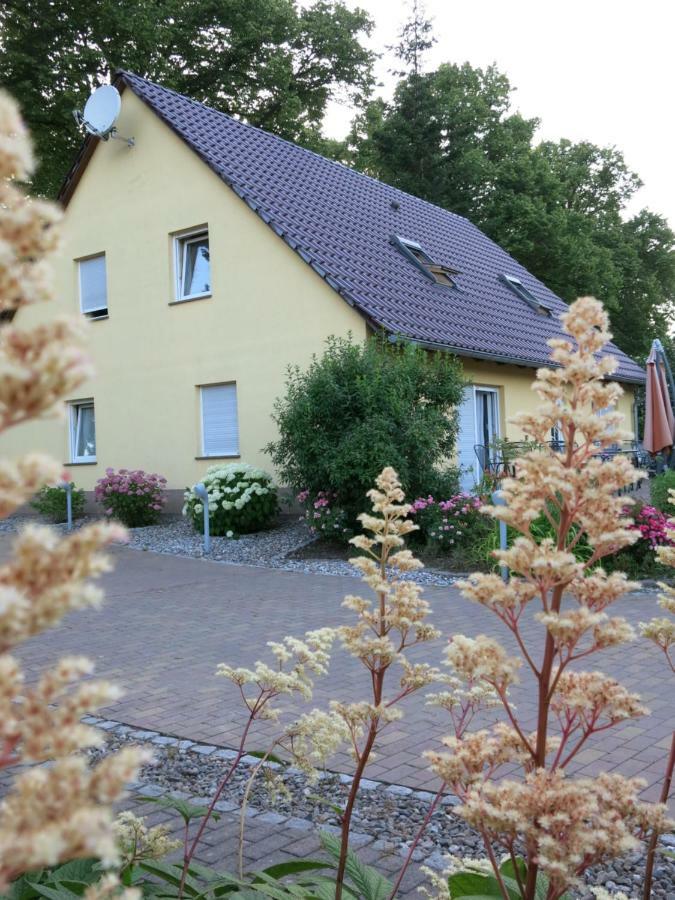 Schölzke‘s *